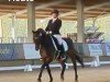 dressage horse Shayan Gold (Oldenburg, 2011, from Sungold 2)
