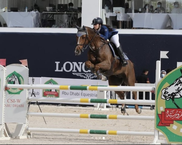 Springpferd Champion 126 (Oldenburger Springpferd, 2006, von Champion For Pleasure)