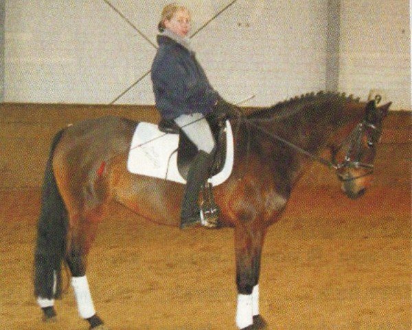 jumper Jil (German Riding Pony, 1997, from Mambo Moscan)