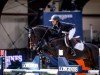 jumper Corazon (German Sport Horse, 2013, from Cormint)
