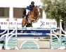 jumper Imoogi Hero (Belgium Sporthorse, 2014, from Exxon Hedonist)