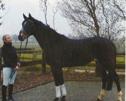 broodmare Flair (Westphalian, 1996, from Foxiland xx)