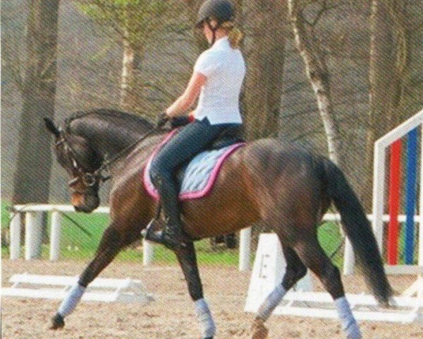 broodmare Santana WE (German Riding Pony, 1998, from Apslau xx)