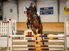 jumper Zoraya 11 (Hanoverian, 2018, from Zinedream)