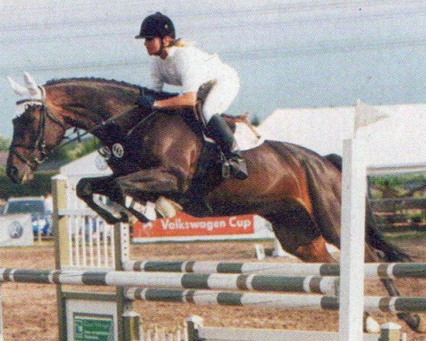 broodmare Rabinos Charme (Hanoverian, 1996, from Rabino)