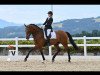 dressage horse Rainhof's Eneas S (German Sport Horse, 2016, from Escolar)