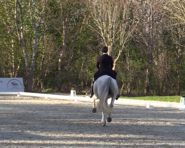 Reitturnier Elmlohe 2025