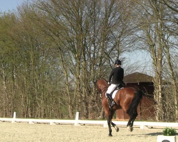 Reitturnier Elmlohe 2025