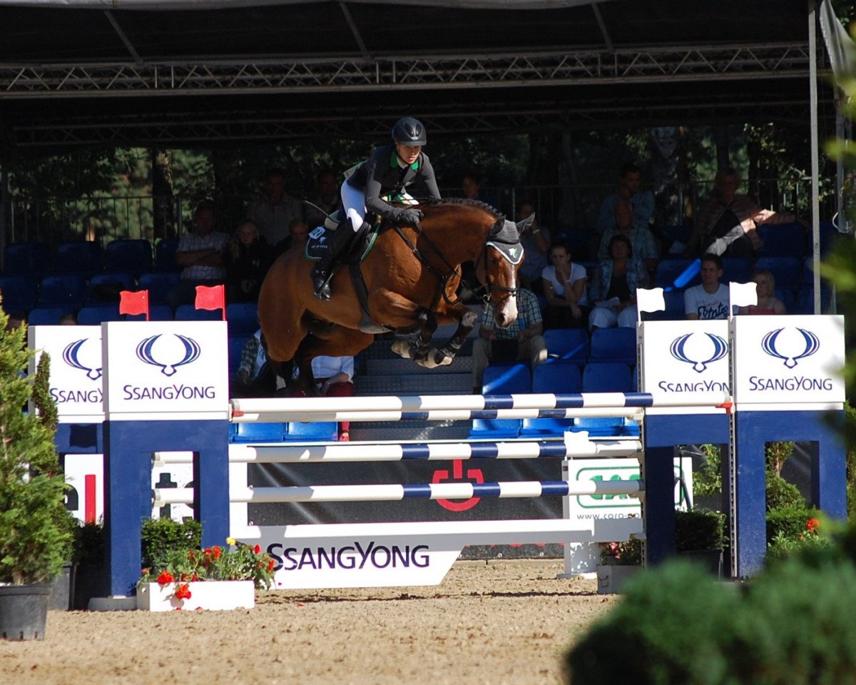 Springpferd Valcetto Ot (Hannoveraner, 2010, von Valentino)