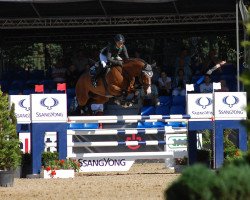 jumper Valcetto OT (Hanoverian, 2010, from Valentino)