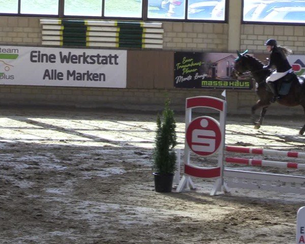Reitturnier Oelde 2025