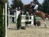 jumper Kleiner Prinz 39 (KWPN (Royal Dutch Sporthorse), 2015, from Cidane)
