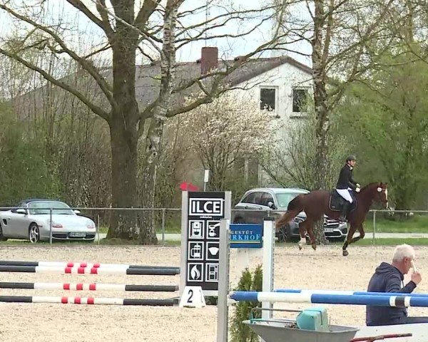 Reitturnier Rot am See- Musdorf 2025
