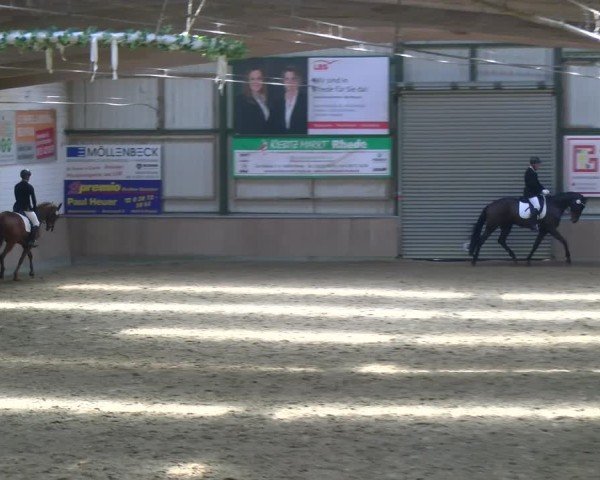 Reitturnier Rhede 2025