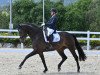 dressage horse Esco Star (German Sport Horse, 2015, from Escolar)