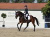 dressage horse Sloth Power (Oldenburg show jumper, 2013, from Le Balou 3)