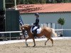 dressage horse Sunny 1363 (Pony without race description, 2015, from Fs Numero Uno)