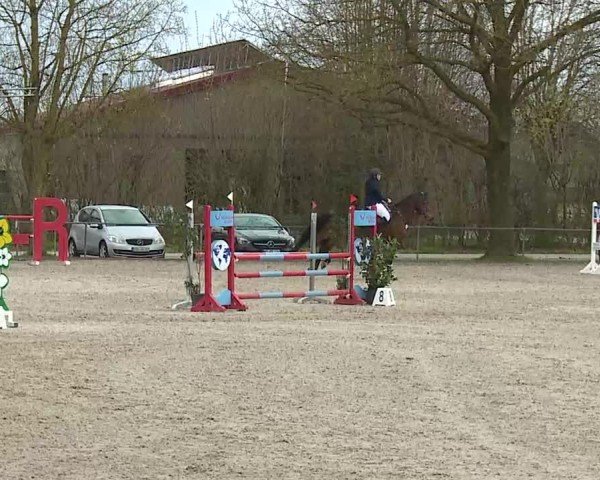 Reitturnier Rot am See- Musdorf 2025