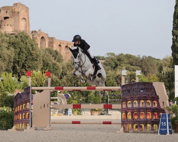 jumper Berlin's Kojak (KWPN (Royal Dutch Sporthorse), 2009, from Berlin)