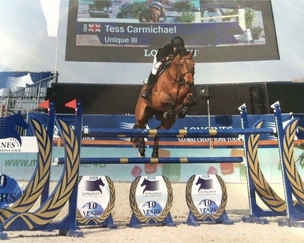 jumper Unique III (KWPN (Royal Dutch Sporthorse), 2001, from Libero H)