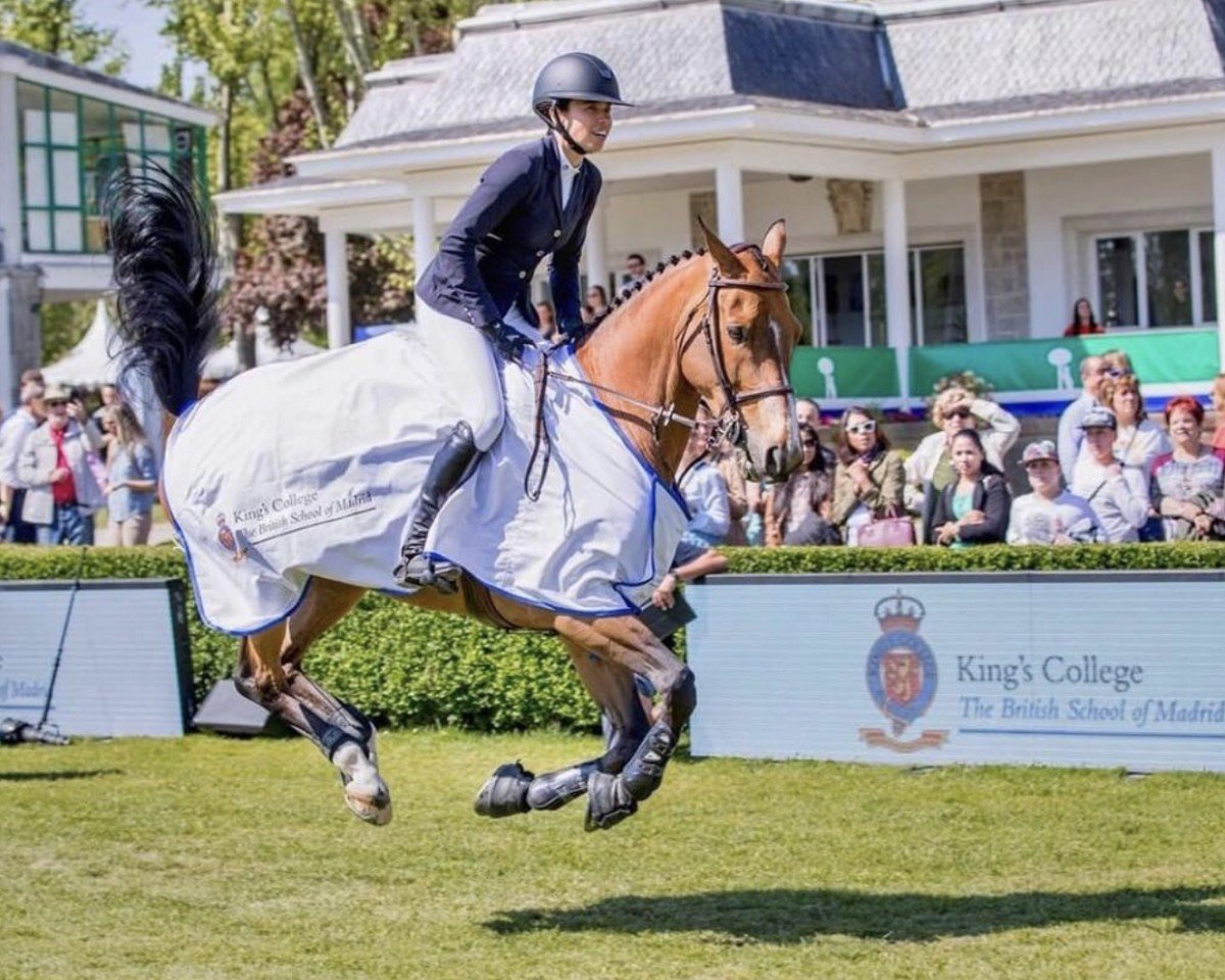 jumper E.harley (KWPN (Royal Dutch Sporthorse), 2009, from van Gogh)