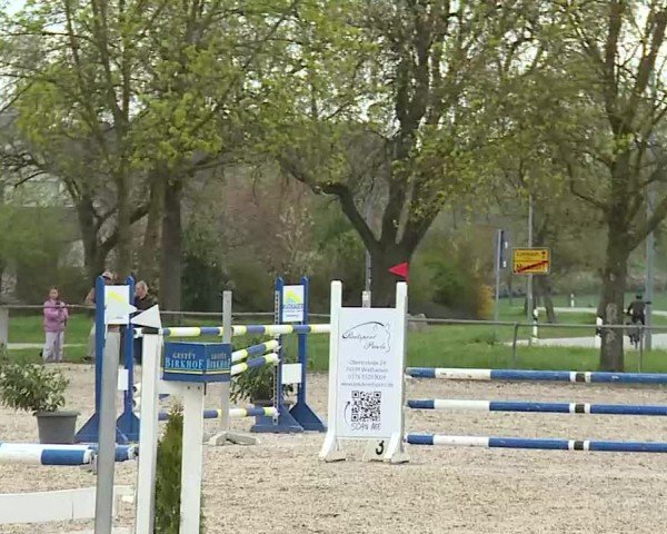 Reitturnier Rot am See- Musdorf 2025