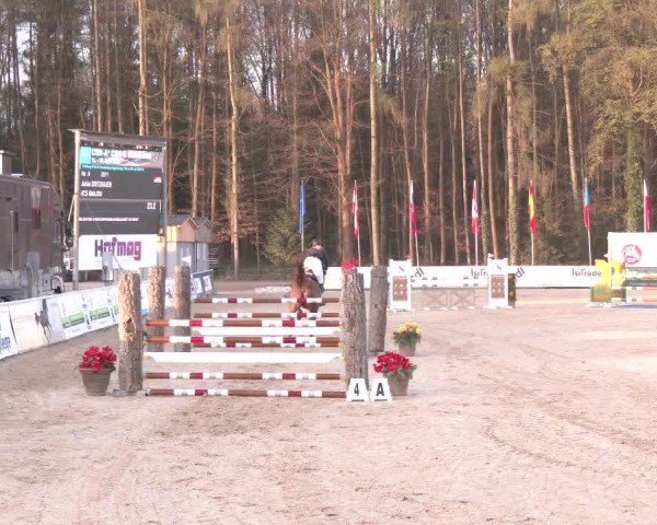 Reitturnier Ranshofen - Braunau am Inn 2025