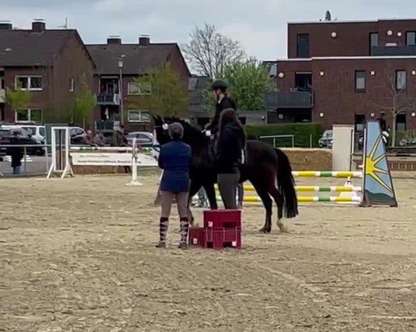 Video of Vasco 113