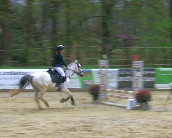 Reitturnier Rhede 2025
