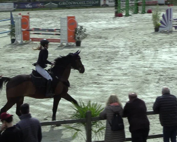 Reitturnier Westergellersen 2025