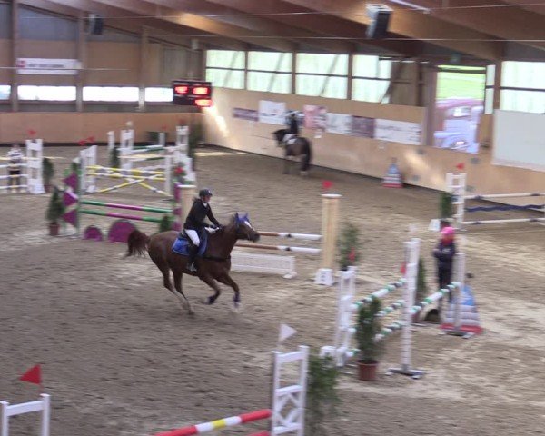 Reitturnier Fehraltorf 2025