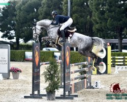 jumper Apassionata (Hanoverian, 2013, from All in One)