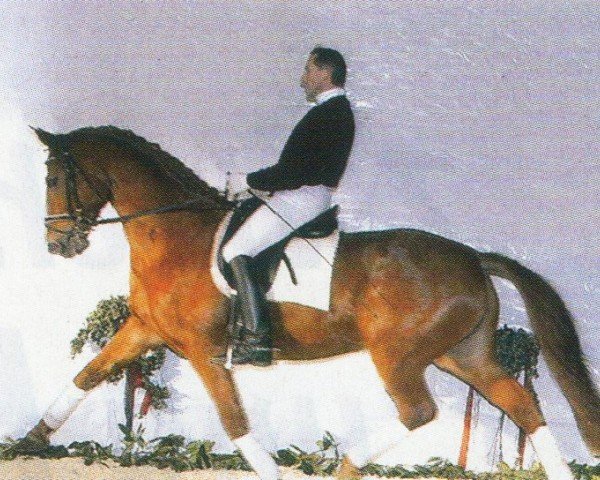 Pferd Walanca (Hannoveraner, 1997, von Weltfriede)