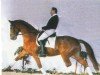 Pferd Walanca (Hannoveraner, 1997, von Weltfriede)