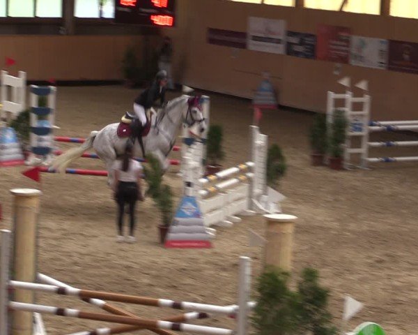 Reitturnier Fehraltorf 2025