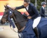 jumper Fahidi D Elsendam Z (Zangersheide riding horse, 2018, from Fantomas de Muze)