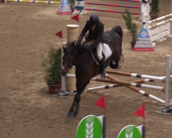 Reitturnier Fehraltorf 2025