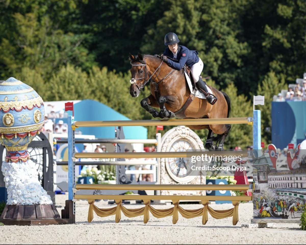 Springpferd Mistral van de Vogelzang (Belgisches Warmblut, 2012, von Elvis Ter Putte)