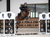 Springpferd Doerak V (KWPN (Niederländisches Warmblut), 2017, von Dencognito)