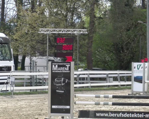 Reitturnier Bregenz 2025