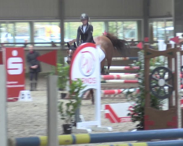 Reitturnier Ahaus 2021