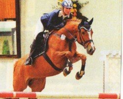 horse Expos Fortuna (Hanoverian, 2004, from For Expo 2000)