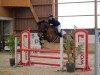 jumper Chacassina (German Sport Horse, 2018, from Shalom D'Altenbach)
