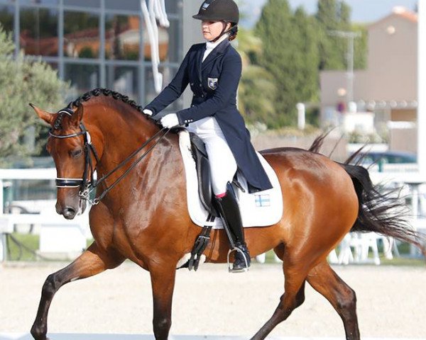 dressage horse Damisela Ash (Oldenburg, 2008, from Damsey FRH)