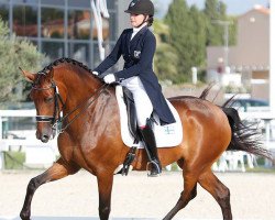 dressage horse Damisela Ash (Oldenburg, 2008, from Damsey FRH)