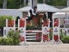 jumper Calabria 9 (Oldenburg show jumper, 2016, from Casino Grande)
