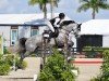jumper Claire 211 (Oldenburg show jumper, 2019, from Central Park 6)