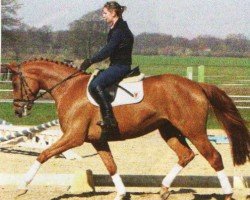dressage horse Die Leila (Oldenburg, 2006, from Daddy Cool)