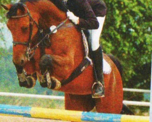 jumper Cascada 10 (Rhinelander, 2002, from Co-Pilot)