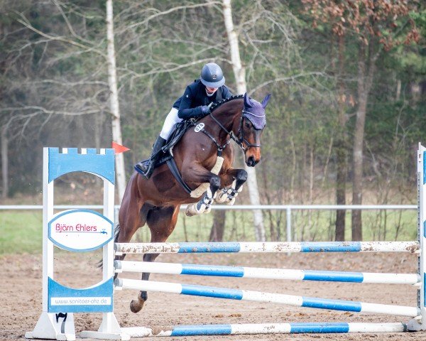 jumper Capri Sun 9 (Hanoverian, 2020, from Charthago Blue OLD)